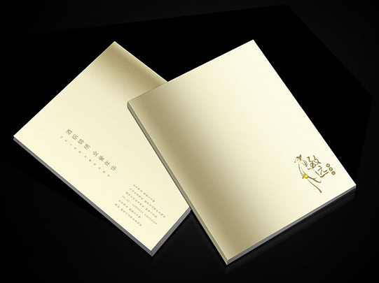 廣州專(zhuān)業(yè)書(shū)刊畫(huà)冊(cè)印刷價(jià)位 廣州畫(huà)冊(cè)印刷報(bào)價(jià)